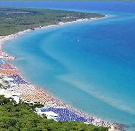 Vilei *